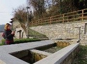 Festa di fiori sui sentieri per il Monte Ubione-6 marzo 2026-FOTOGALLERY